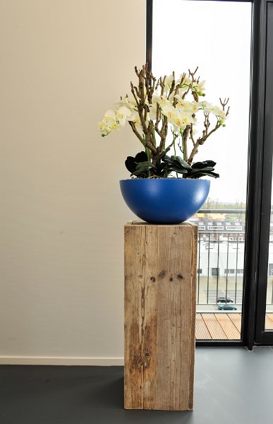 blauwe casacara met orchidee (1 van 1)